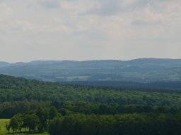 dsc_0724