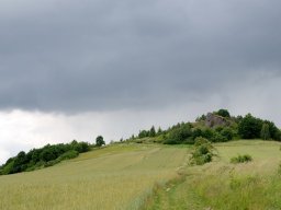 dsc_10018