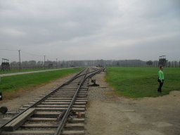 sdc12113