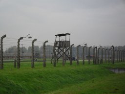 sdc12115