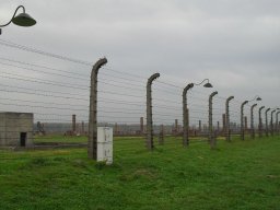 sdc12118