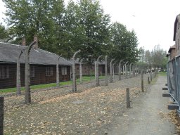 sdc12122