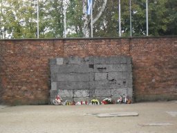 sdc12126