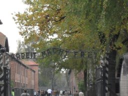 sdc12129