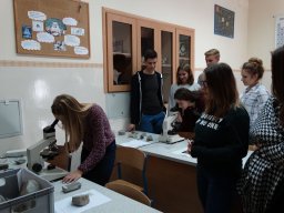 dsc02590