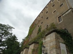 dsc06774